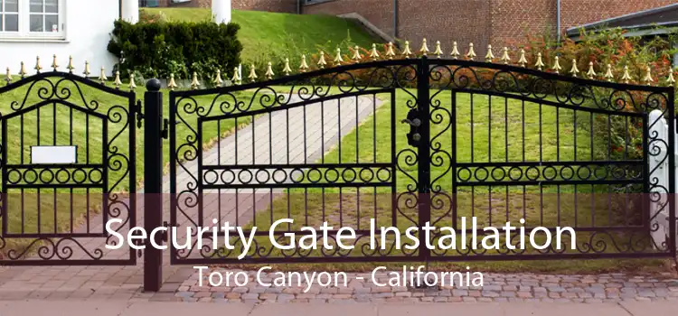 Security Gate Installation Toro Canyon - California