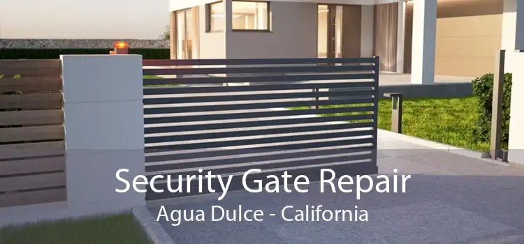 Security Gate Repair Agua Dulce - California