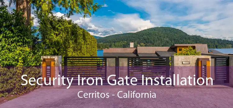 Security Iron Gate Installation Cerritos - California