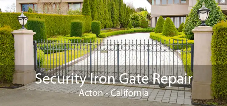 Security Iron Gate Repair Acton - California