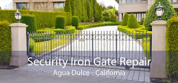 Security Iron Gate Repair Agua Dulce - California