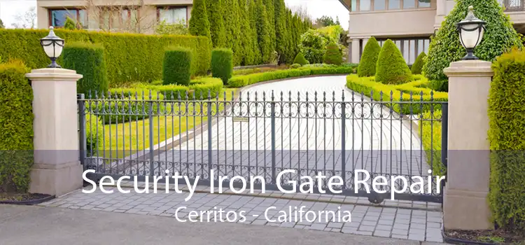 Security Iron Gate Repair Cerritos - California