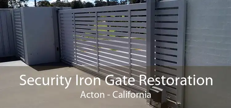 Security Iron Gate Restoration Acton - California