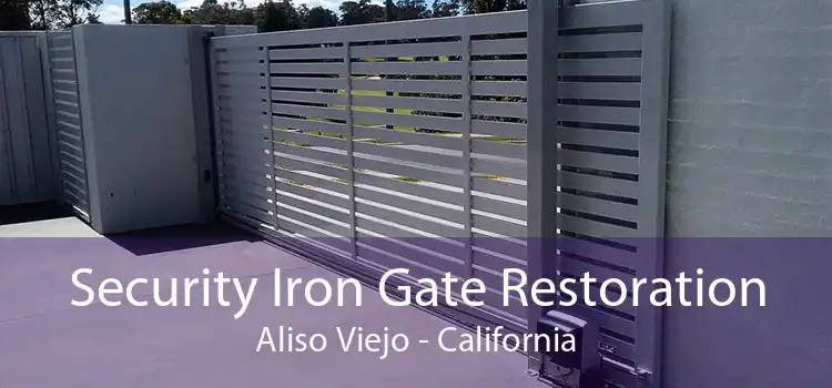 Security Iron Gate Restoration Aliso Viejo - California