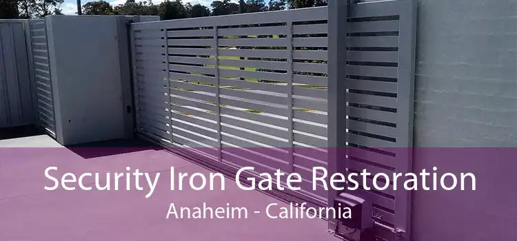 Security Iron Gate Restoration Anaheim - California