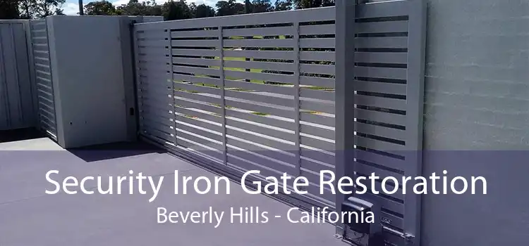 Security Iron Gate Restoration Beverly Hills - California