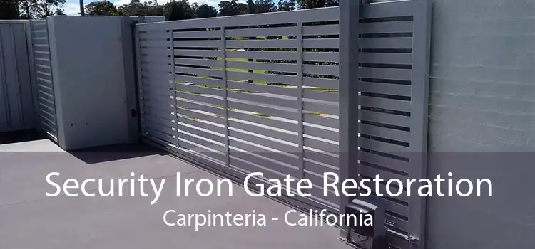 Security Iron Gate Restoration Carpinteria - California