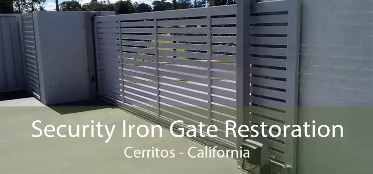 Security Iron Gate Restoration Cerritos - California