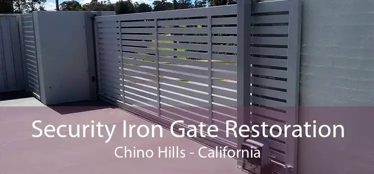 Security Iron Gate Restoration Chino Hills - California