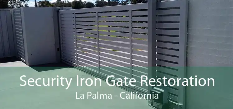 Security Iron Gate Restoration La Palma - California