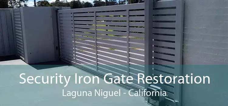 Security Iron Gate Restoration Laguna Niguel - California