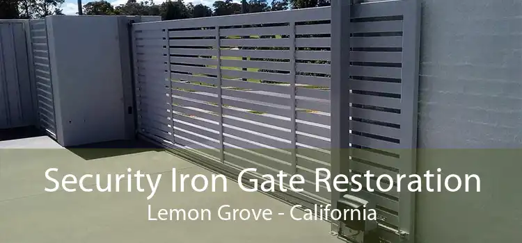 Security Iron Gate Restoration Lemon Grove - California