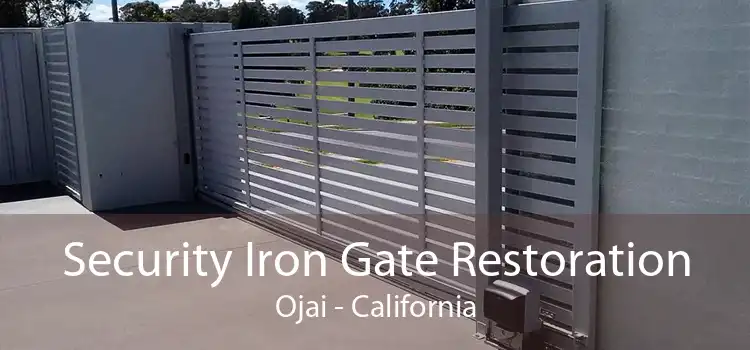 Security Iron Gate Restoration Ojai - California