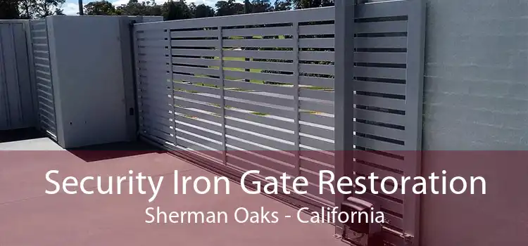 Security Iron Gate Restoration Sherman Oaks - California