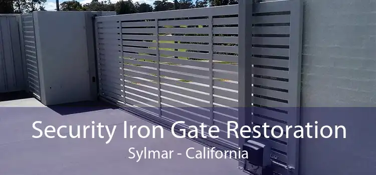 Security Iron Gate Restoration Sylmar - California